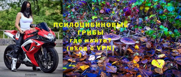 винт Горнозаводск